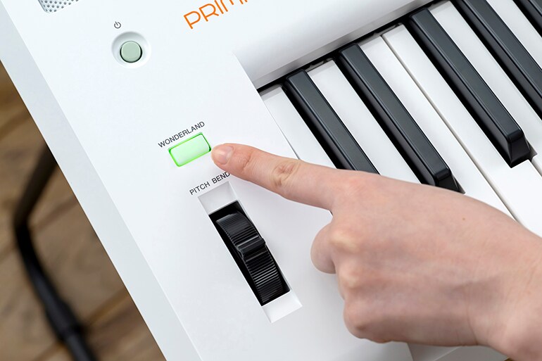 A keyboard function for playing back animal sounds and sound effects by pressing the Wonderland button
