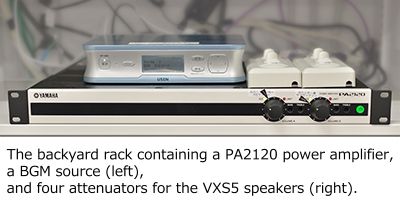 Why the need for separate VXS5 and subwoofer outputs?