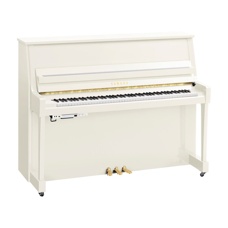 Product image of B20TC3 (Polished White)