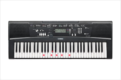 EZ-220