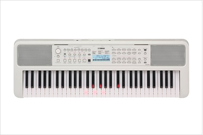 EZ-310