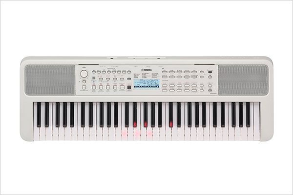 EZ-310