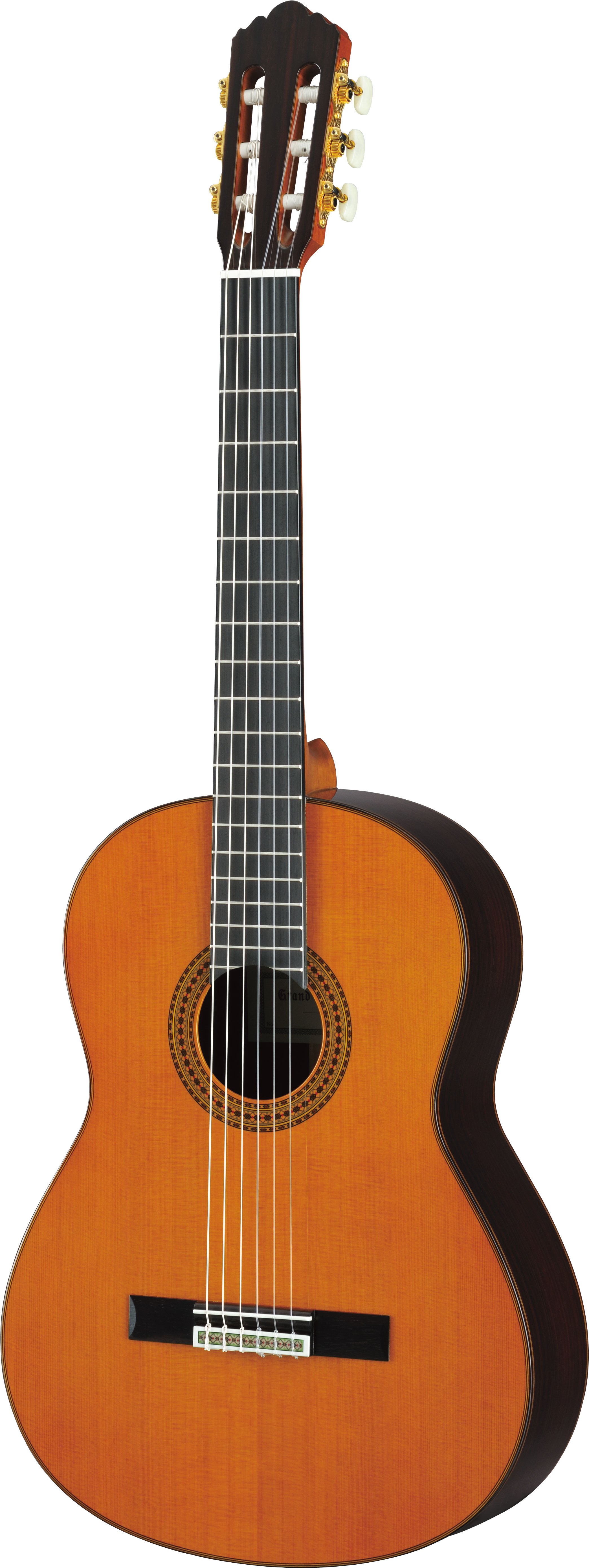 GC / GCX - Overview - Classical & Nylon - Guitars, Basses