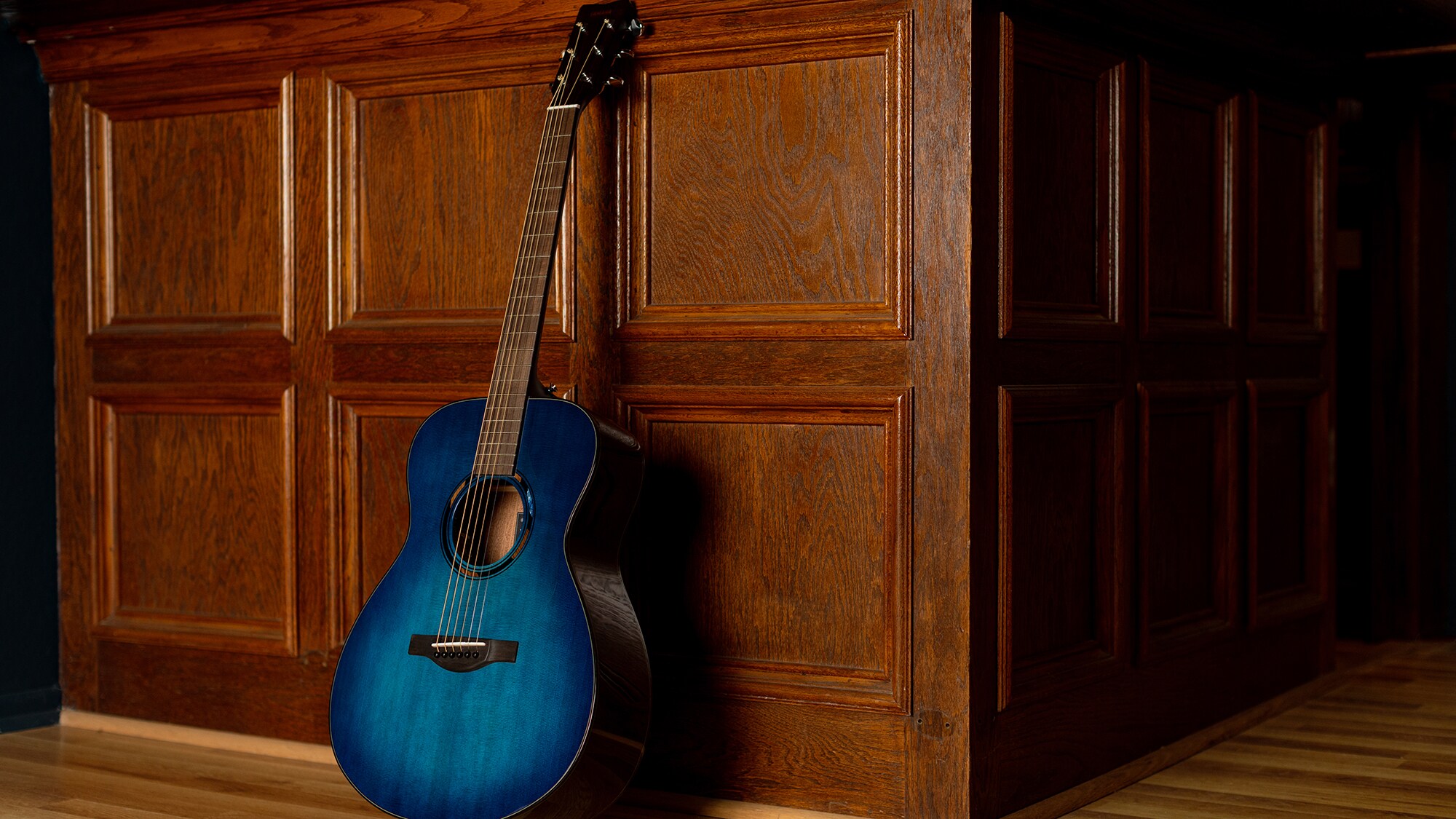 An TAS1E acoustic guitar standing upright against a brown wall indoors
