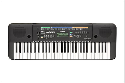 PSR-E253