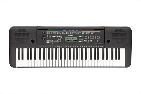 PSR-E253