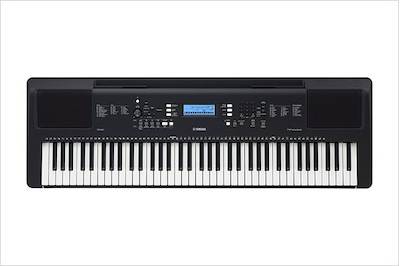PSR-EW310
