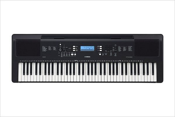 PSR-EW310