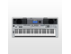 Yamaha PSR-I455, front view