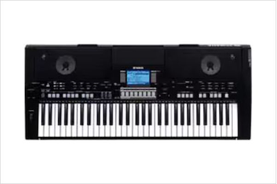 PSR-S550B