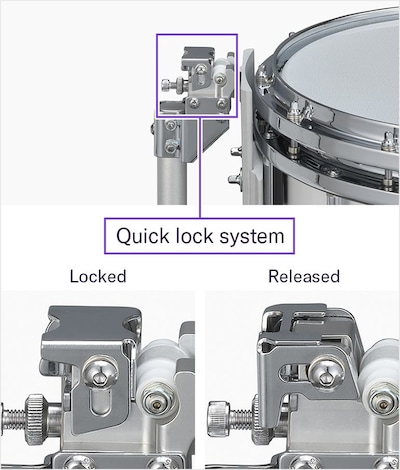 Quick lock mounting system