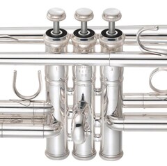 Valve Casing