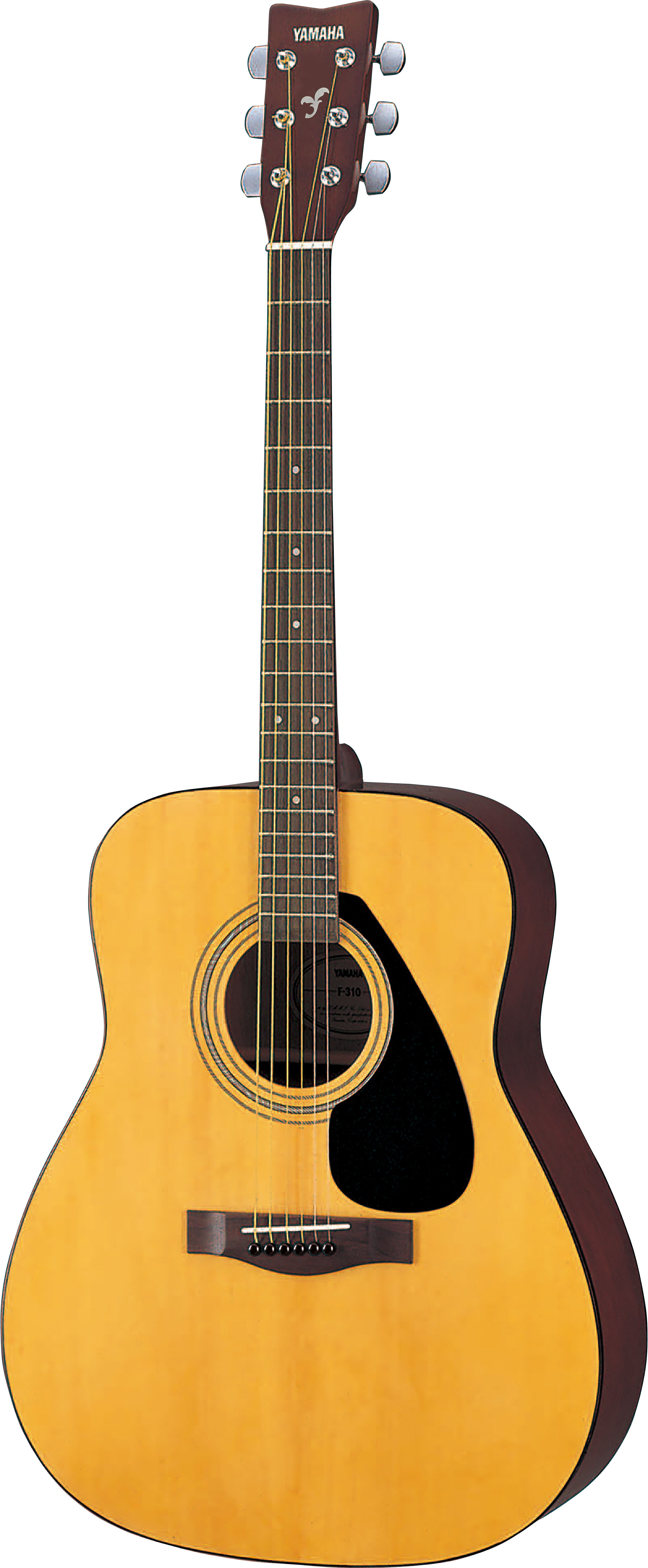 F / FX - Overview - Acoustic Guitars - Guitars, Basses