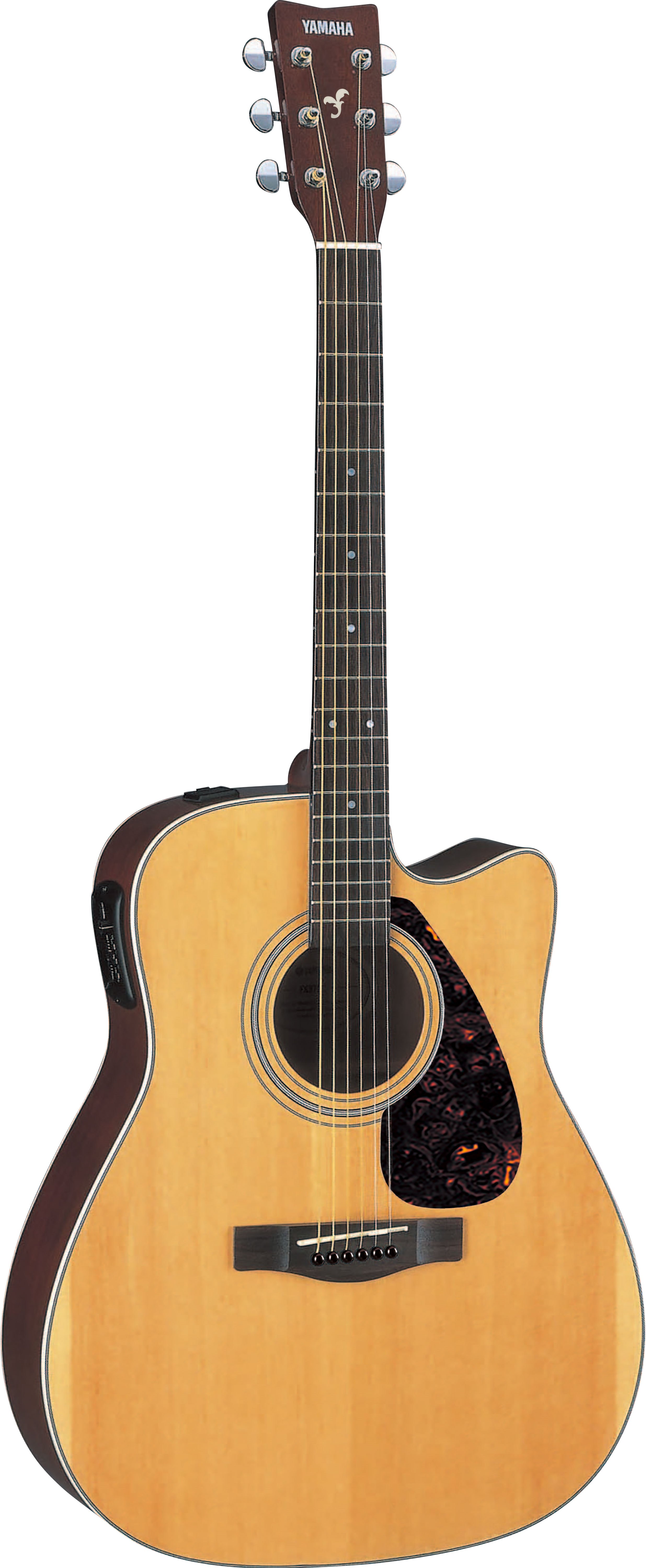 F / FX - Overview - Acoustic Guitars - Guitars, Basses