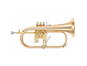 Bell: Gold brass, Finish: Clear lacquer