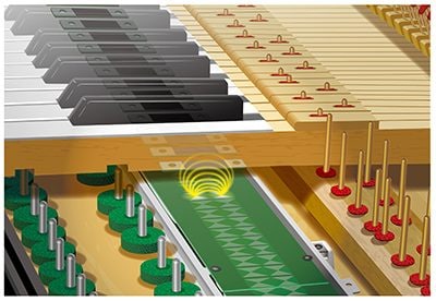 2. ระบบ Articulation Sensor System จะถ่ายทอดอารมณ์ทางดนตรีได้ดั่งใจมากยิ่งขึ้นในระหว่างการแสดงดนตรี