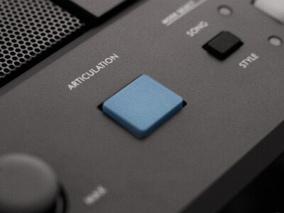 ภาพปุ่ม ARTICULATION ของ PSR-E483