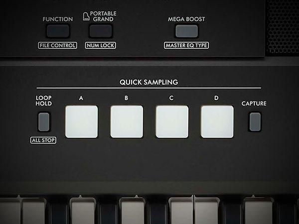 ฟังก์ชั่น Quick Sampling