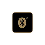 ไอคอน BLUETOOTH SUPPORT