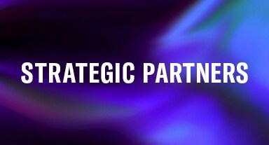 Strategic Partners