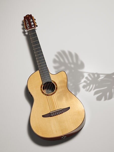 ซีรีส์ NX (2020)